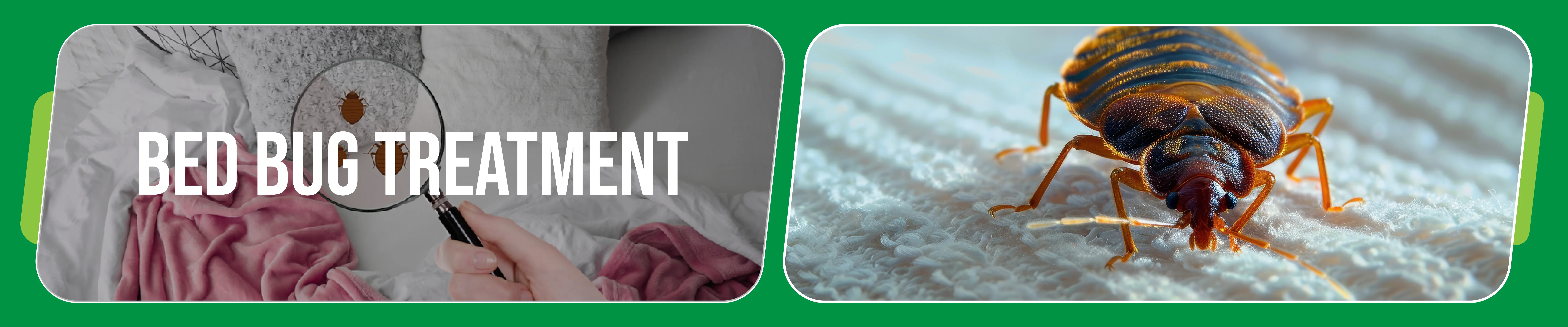 carpet cleaning in Staten Island, carpet cleaner in Staten Island, carpet cleaners in Staten Island, carpet cleaners in Staten Island, drapery cleaners in Staten Island, carpet cleaning in Staten Island, mattress cleaning in Staten Island, mattress cleaners in Staten Island, commercial carpet cleaning, commercial carpet cleaners in Staten Island, Staten Island rug cleaners, rug cleaning services in Staten Island same day carpet cleaning, same day rug cleaning